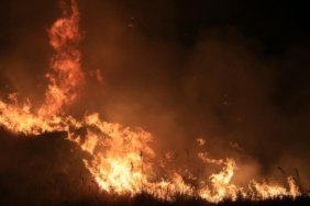 Sicilya-Adasi039ndaki-orman-yanginlari-yerlesim-yerlerini-tehdit-ediyor-featured