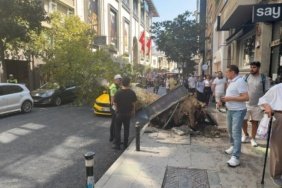 Sislide-agac-devrildi-Yol-trafige-kapandi-featured