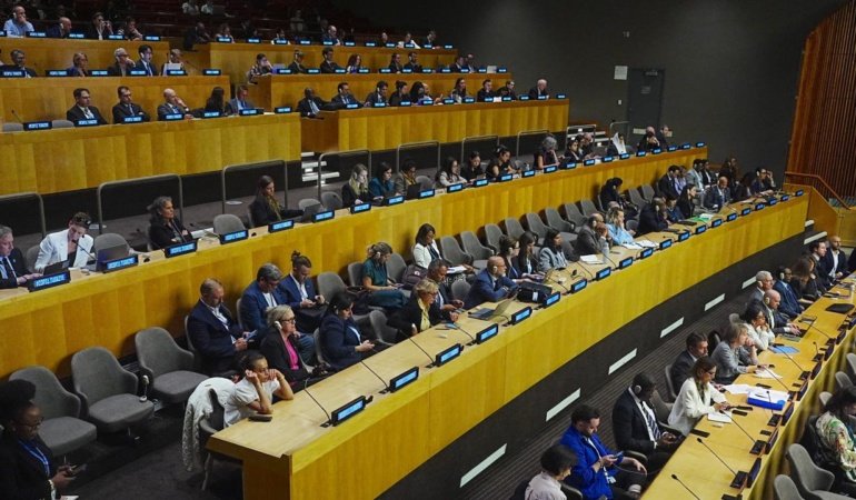 İsviçre, COP31W'de Türkiye ile 'uzun vadeli' ortaklıklara hazırlanıyor