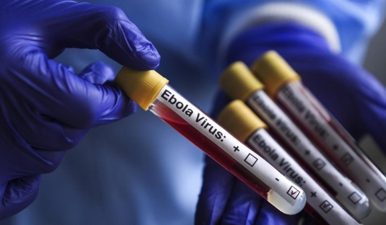 Kongo Demokratik Cumhuriyeti'nde Ebola vakası sayısı 8 bini aştı