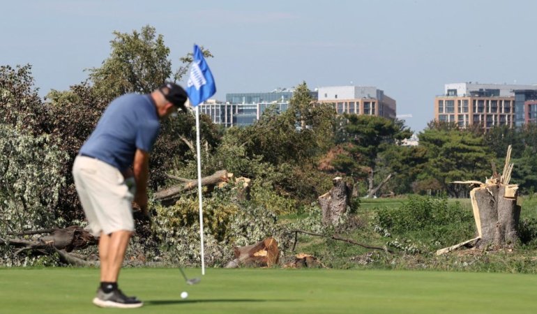 ABD'de yargıç, Trump yönetiminin Washington'daki golf sahasında yaptığı ağaç kesimini durdurdu