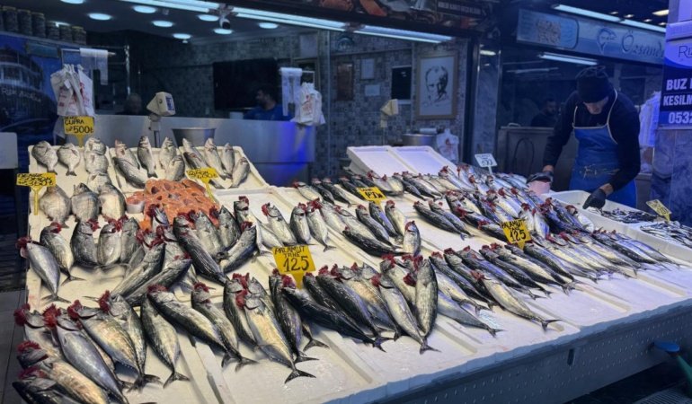 Balıkçı tezgahlarında palamut ilgi görüyor