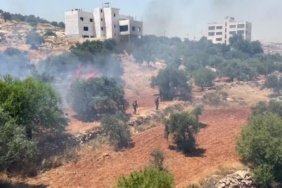 Israilli-isgalciler-Bati-Seria039da-bu-ay-zeytin-hasadini-hedef-alan-136-saldiri-duzenledi-featured