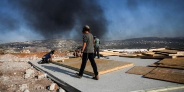 Israillilere-ait-hayvanlari-zehirleyen-kisi-isgalci-bir-Israilli-cikti-featured