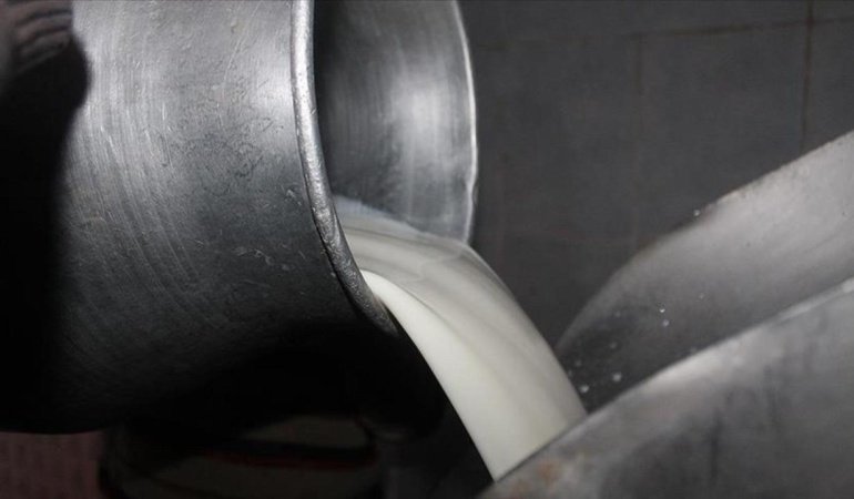Mesleki yeterlilik belgeli çalışanların topladığı süte ilave destek
