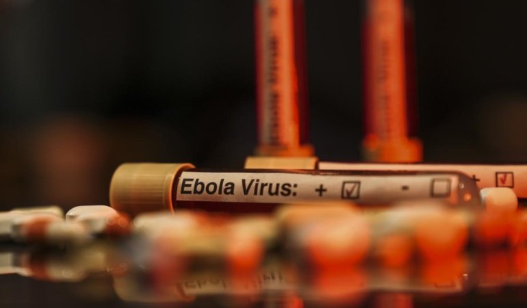 Nijeryadan Ebola riskine karşı uyarı