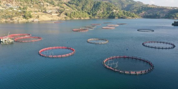 Su-urunleri-ihracati-9-ayda-18-milyar-dolara-ulasti-featured