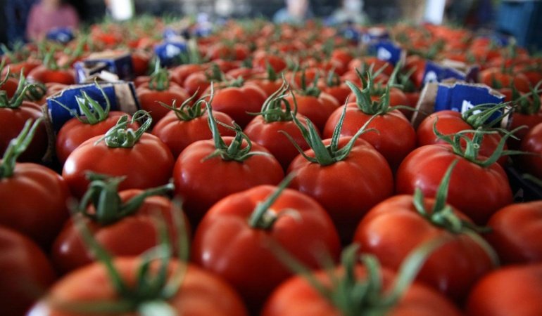 Yaş sebze ihracatı 9 ayda 822 milyon dolara ulaştı